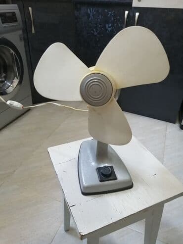 Zərərvericilərə qarşı mübarizə aparatları: Antikvar vintelator ideal vəziyyətdə iwleyir — 1