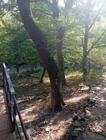 kirayə aylıq: 3000 kv. m, 3 otaqlı — 7