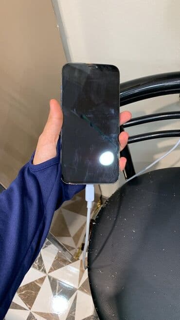 Apple iPhone: IPhone 13 Pro, Gümüşü — 2