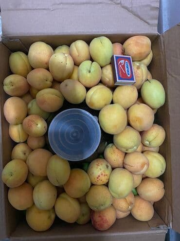 Digər qida məhsulları: Məhsul: Meyvə bağ sahəsi (çoxillik əkililər) Təsvir: - Səliqəli — 5