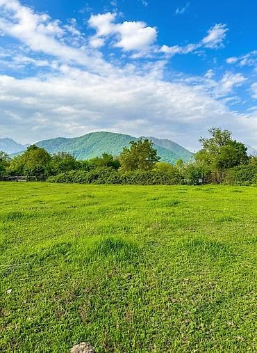 renessans palace ev satilir: 40 sot, Biznes üçün, Maklerlər narahat etməsin, Kupça (Çıxarış) — 5