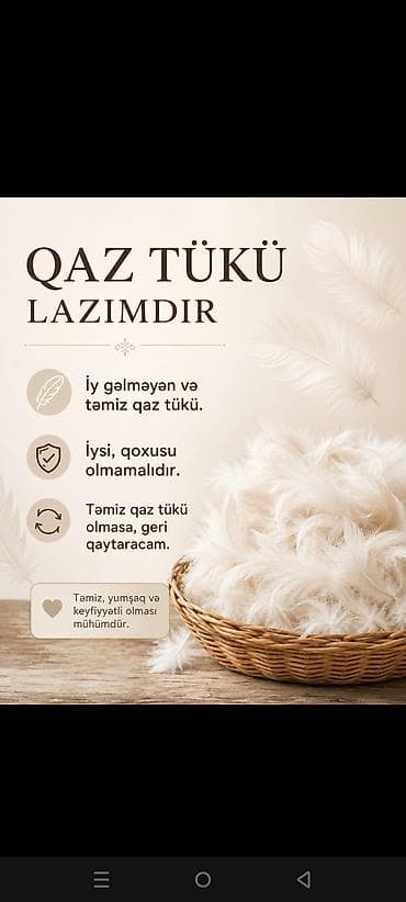 beta balığı qiymət: Qaz tükü alınır,yerin fərqi yoxdur . Tələblər: - Yuyulmuş, təmiz və — 1