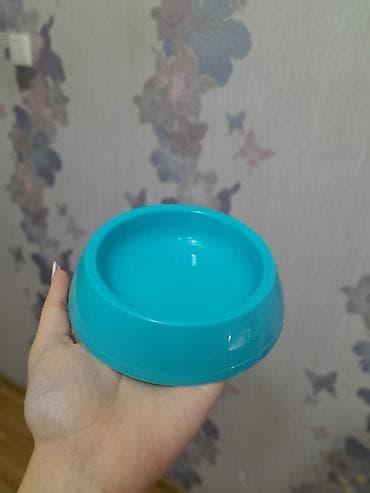 Pişik üçün 2 ci el tam aksesuar dəsti Dəst tərkibi: - Qum qabı (üst — 3