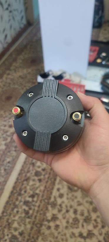 Qulaqcıqlar: Kimde var bunan Aliram Təsvir: - Yüksək tezlikli səs üçün — 3