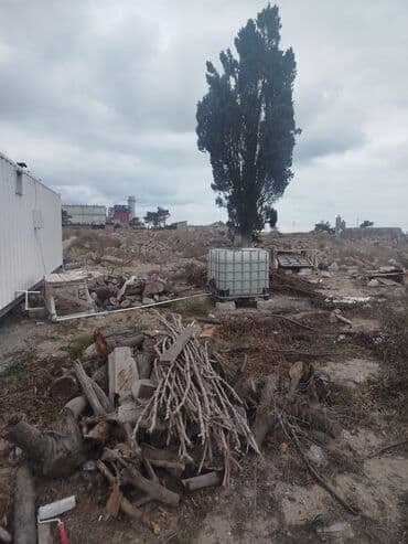 modul tipli ev: Konteyner ev/ofis – tam təchizatlı modul - Ölçü: dəniz konteyneri — 11