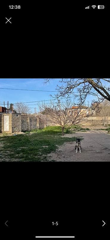 lalafo heyet evleri: 8 sot, Biznes üçün, Barter mümkündür, Bələdiyyə — 3
