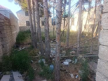 binə evlərin satışı: 3 sot, Kupça (Çıxarış) — 4