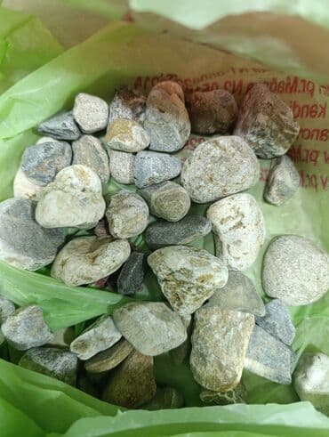 аквариум без рыб: İstifadə olunub cəmi 1 ay. Böyük akvarium aldığım üçün bu akvarium — 7