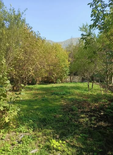 sulutəpədə kirayə evlər: 10 sot, Biznes üçün, Barter mümkündür, Kupça (Çıxarış) — 1