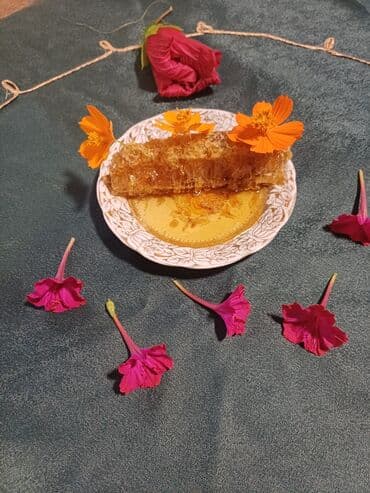 arı balı: Təbii pətək balı – birbaşa çərçivədən - Məhsul: Arı pətəyində mum — 1