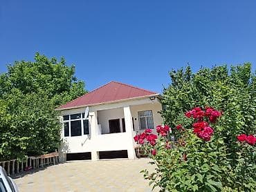 sotka: Bağ evi – yaşıllıq içində rahat məkan - Geniş, meyvə ağacları ilə — 8