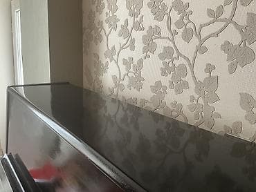 elektron gitara satisi: Piano, Akustik, İşlənmiş, Ünvandan götürmə — 1