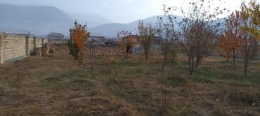 sahə: 10 sot, Tikinti, Mülkiyyətçi — 7