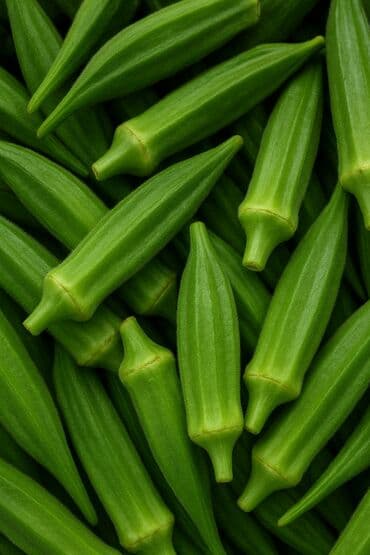 cia toxumu istifade qaydası: Məhsul: Bamya toxumu Təsvir: - Təmizlənmiş və seçilmiş bamya — 1