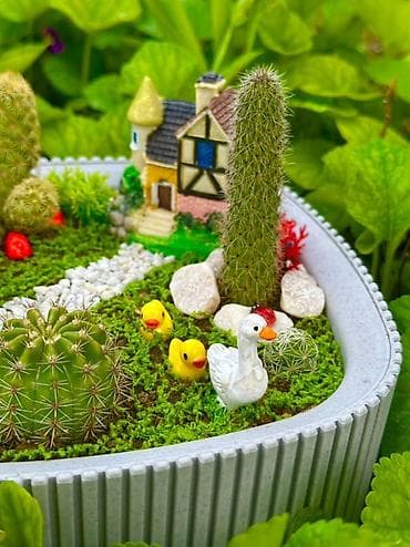 gul qablarinin satisi: Mini bağ kompozisiyası – sukulent/kaktus terrariumu - Üçbucağa yaxın — 5