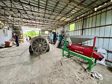 hise verilmis bogaz: Badam bağı 8 yaşında. Şabranda 8 ha Badam bağı, ceşidi Feraduel və — 8