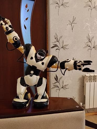 stringer alt geyimi: RoboSapien üslubunda interaktiv robot oyuncağı gülə atır bahalı alınıb — 1