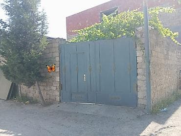 Darvaza 199m ölçü 3*2.30 çərçivəsiz satılır ünvan Binə kod3093