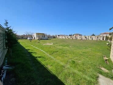 elite: 12 sot, Tikinti, Mülkiyyətçi, Kupça (Çıxarış) — 1