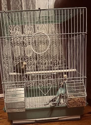 Ağ rəngli metal qəfəs və aksesuarlar dəsti - Material: möhkəm metal lalafo.az -da Ağ rəngli metal qəfəs və aksesuarlar dəsti - Material: möhkəm metal