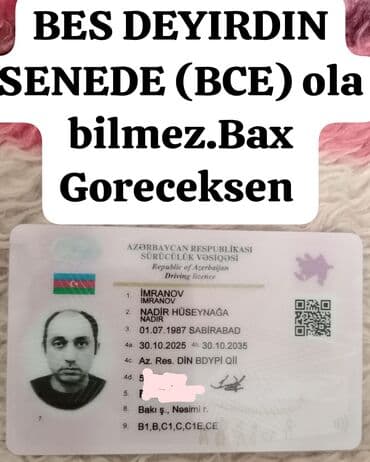 is elanlari qabyuyan: Водитель грузового транспорта, 38 лет, стаж 14 лет, (DE) — 2