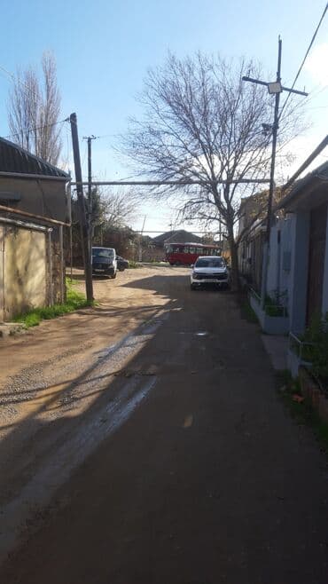 5 sot, Tikinti, Kupça (Çıxarış)