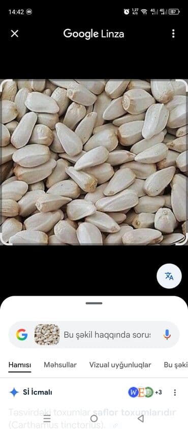 бак для воды в квартиру: Zəfəran toxumu isdəyən yazsın — 2