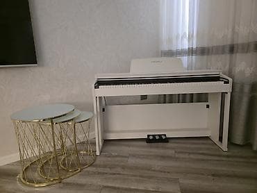 Nəfəs alətləri: Piano, Rəqəmsal, Yeni — 6