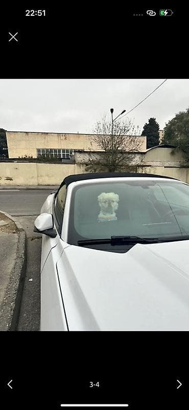 ari ailesi satilir: Pekines — 3