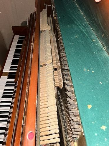 gitara simleri: Piano, Kuban, Akustik, İşlənmiş, Ünvandan götürmə — 1