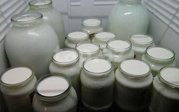 Evdə hazırlanmış təbii qatıq Gurcustandan sizin sufrenize lezzet qatan