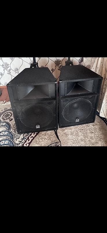noutbuk canta: Məhsul: Peavey SP-2 (cüt) passiv səsgücləndiricilər Xüsusiyyətlər: - — 2