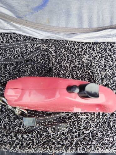 аксессуары для крупных собак: Sumqayıtdadır — 3