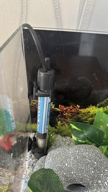 heyvanlar: Dördbucaq akvarium, Boş, 25 l — 3