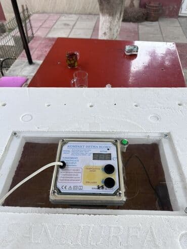 капсульная кофемашина баку: Salam, 63 ədəd yumurtalıq inqubator. Polnu avtomatdır. Yumurtanı özü — 3