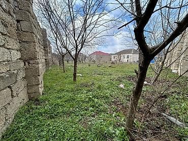 10 sot, Tikinti, Barter mümkündür, Bələdiyyə, Müqavilə — 4