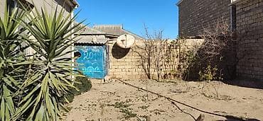 6 sot, Tikinti, Mülkiyyətçi