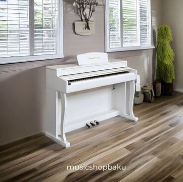 детская электронная барабанная установка: Symphony Rəqəmsal Elektron Piano 

Model: 807 — 1