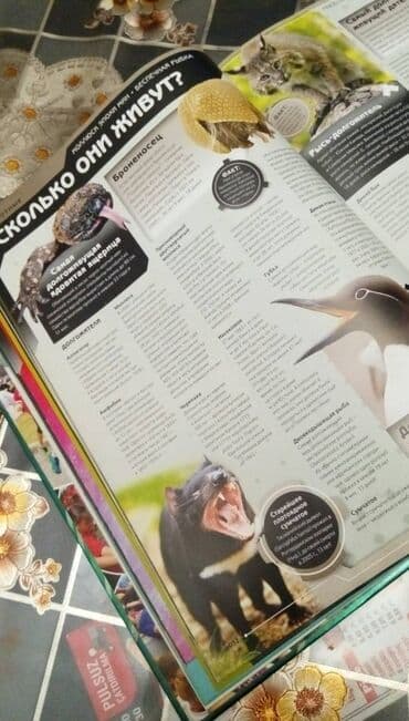 2ci 190 manat: Почти новая. прочли и отложили. Цена 13 манат — 4