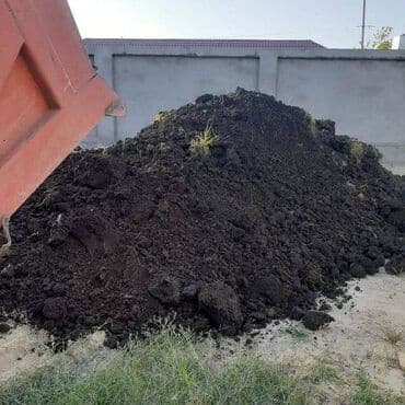 Вилки: Qara torpaq ve Peyin. Artıq Payız gəlişi ilə əlaqədar bağlara — 1