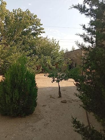 zigda heyet evi: Dübəndi 5 otaqlı, 1200 kv. m — 7