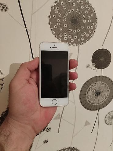 ipad 9 lalafo: IPhone 5s, 32 GB, Desert Titanium, Barmaq izi — 2