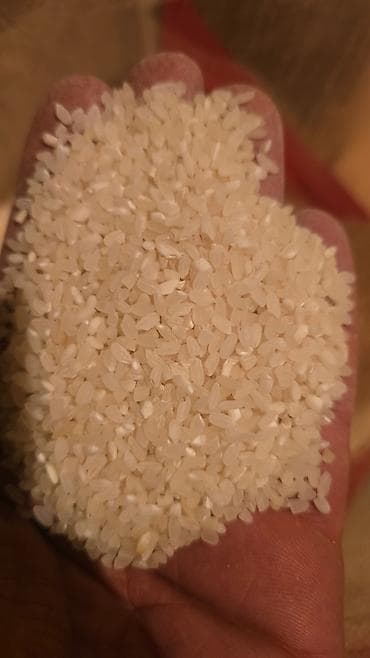 çilədağı bitkisi rus dilində: Topdan satiw — 7