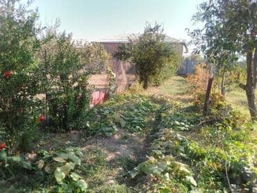 xətai rayonu kirayə evlər: 4 otaqlı, 121 kv. m, Kredit yoxdur, Yeni təmirli — 9