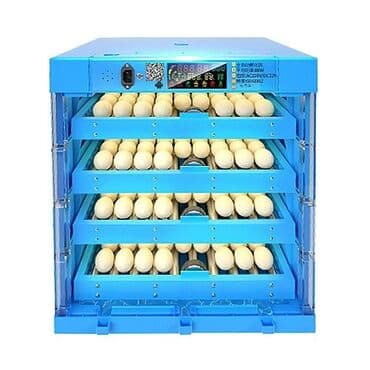 inkubator 56: Nkubator inkubatorlarin birinci əl satişi mağazamizda olan inkubator — 2