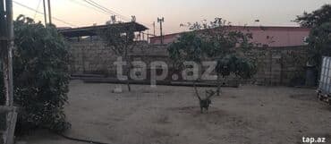 тап аз недвижимость: Tikinti — 2