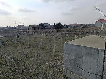 24 sot, Kupça (Çıxarış) — 4
