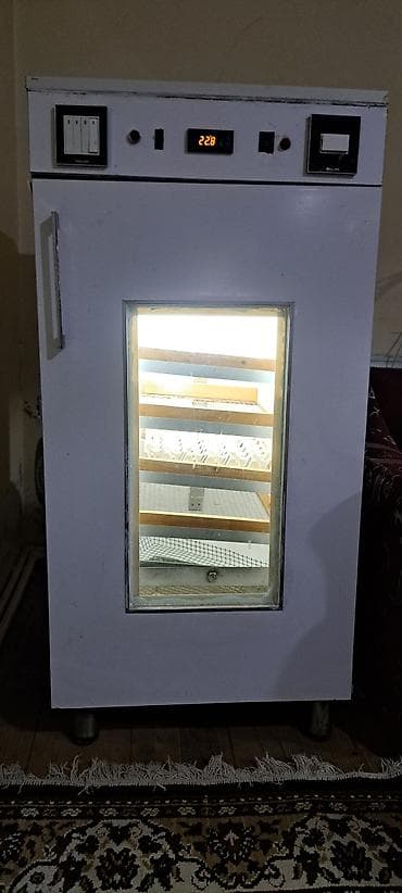 Azərbaycan, Tam avtomat — 6