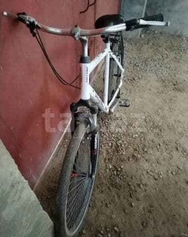 Охота и рыбалка: Городской велосипед Salcano, 29" — 3