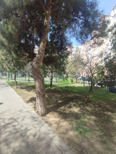 keşle kiraye: Həzi Aslanov metrosu, Məhəmməd Hadi küçəsi 9 mərtəbəli kiyev layhəli — 8